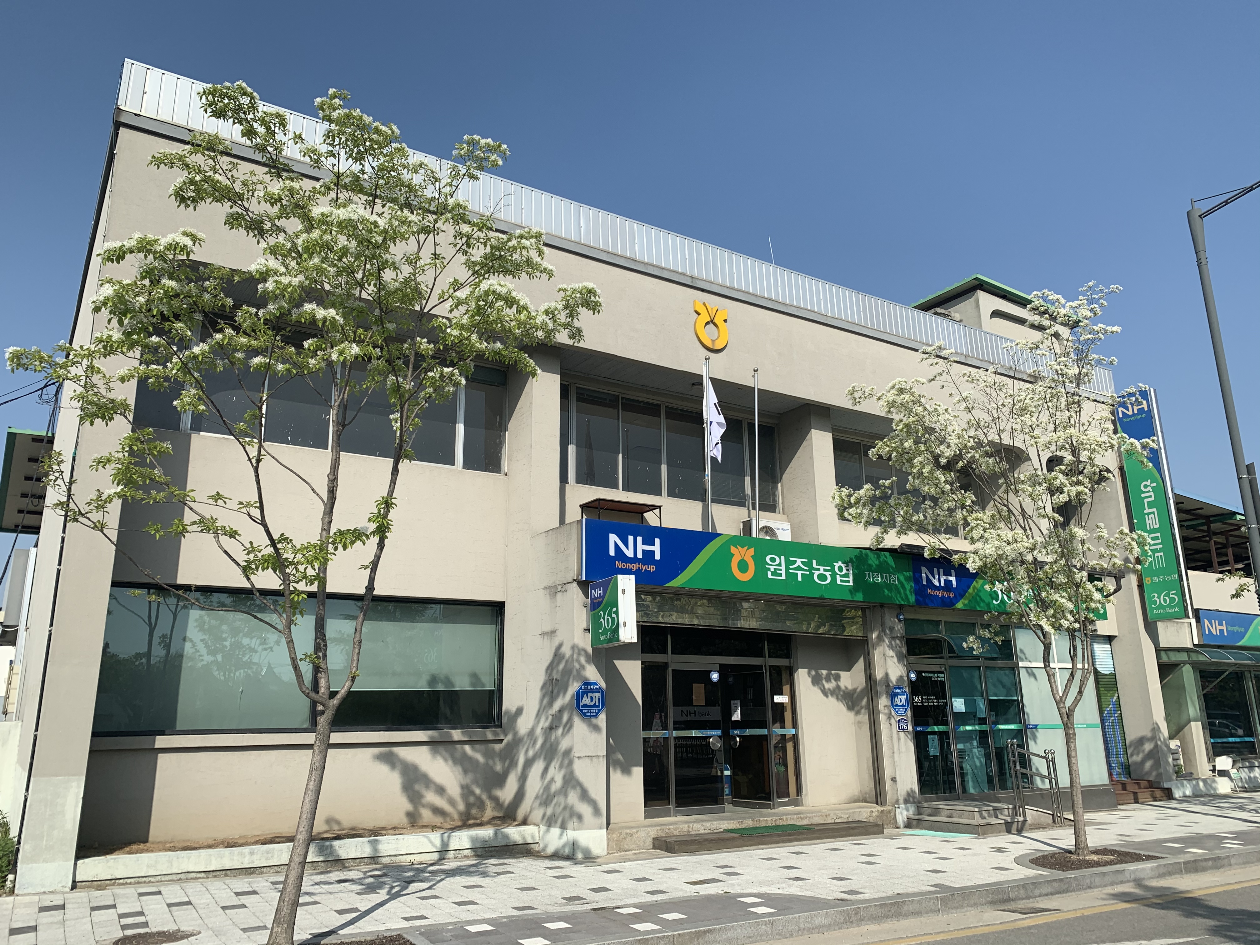 원주농협 지정지점